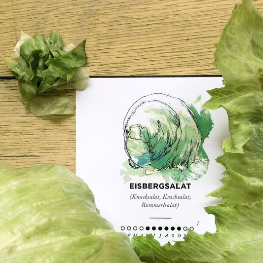 Frischer Salat!
