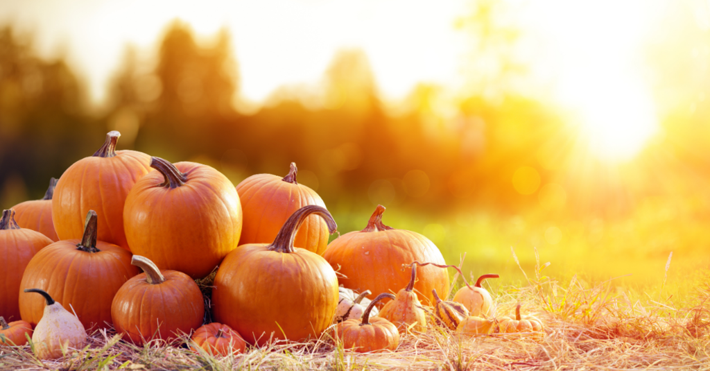 Herbstliche Kürbissuppe