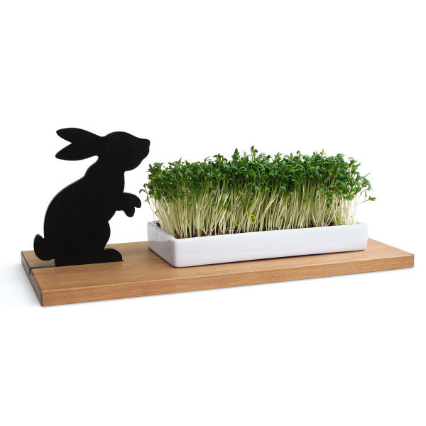 Kresseschale HASE