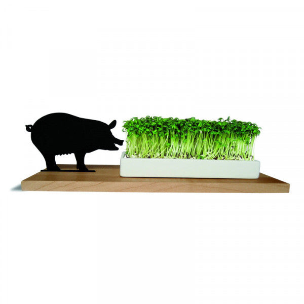 Kresseschale SCHWEIN