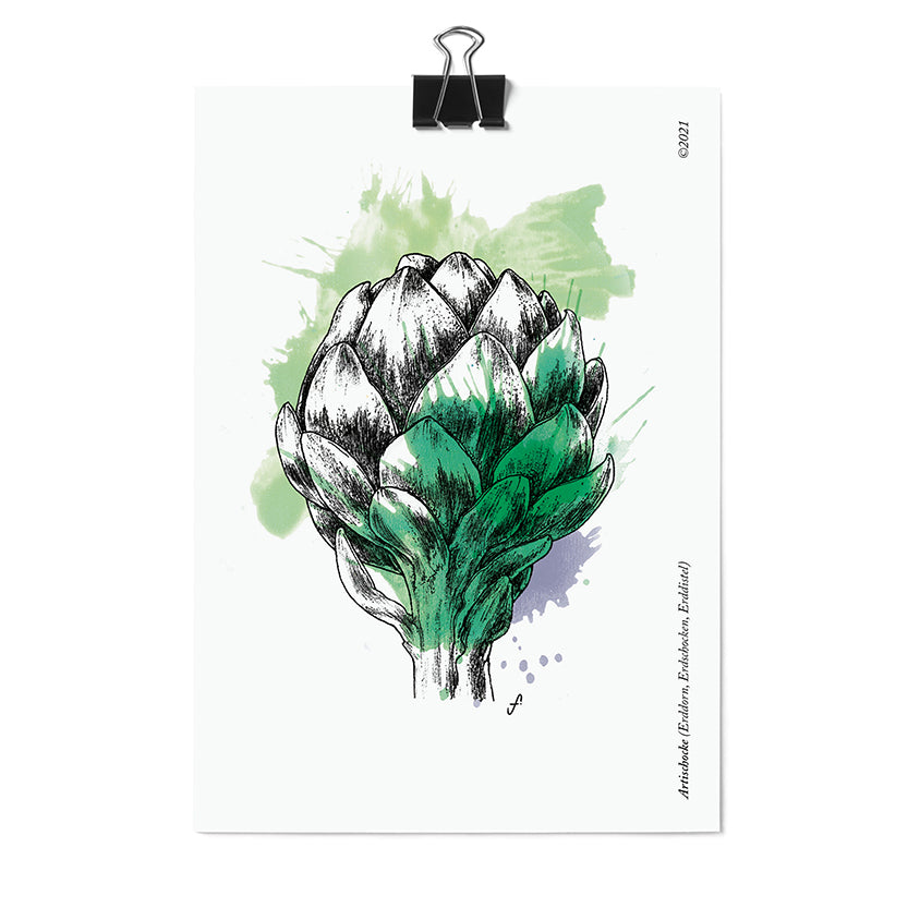 Postkarte Artischocke