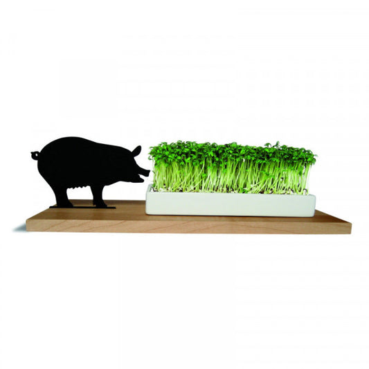 Kresseschale SCHWEIN