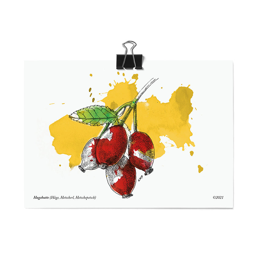Postkarte Hagebutte